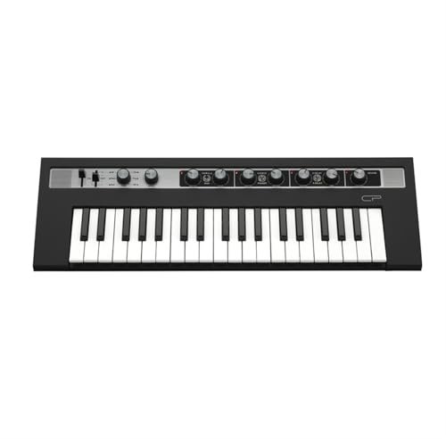 Mini Keyboard Portable Synthesizer 37 Keys Adult Professional Performance Electronic Keyboard(Black2)