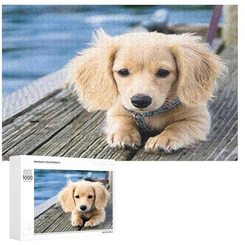 Jigsaw Puzzles Dog Dachshund Puppy Animal 1000 Pieces Jigsaw Puzzle Challenging and Stimulating Puzzle Game Wall Art Unique Gift