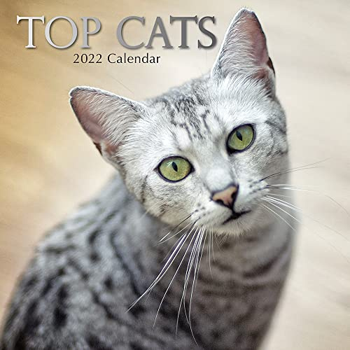 Top Cats - Top-Katzen 2022 - 16-Monatskalender: Original Gifted Stationery-Kalender [Mehrsprachig] [Kalender] (Wall-Kalender)