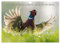 Emotionale Momente: Wild und Jagd. (Wandkalender 2025 DIN A4 quer), CALVENDO Monatskalender