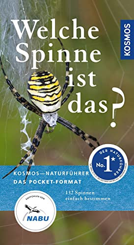 Welche Spinne ist das?: Kosmos Basic (Kosmos-Naturführer Basics)