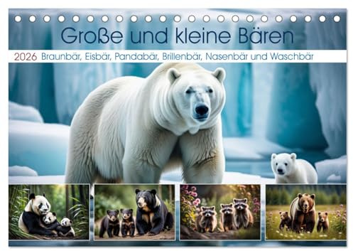 Große und kleine Bären (Tischkalender 2026 DIN A5 quer), CALVENDO Monatskalender: Braunbär, Eisbär, Pandabär, Brillenbär, Nasenbär und Waschbär (CALVENDO Tiere)