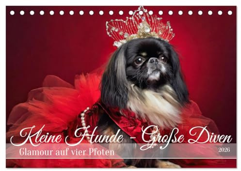 Kleine Hunde - Große Diven (Tischkalender 2026 DIN A5 quer), CALVENDO Monatskalender: Kleine Hunde werden zu glamourösen Stars (CALVENDO Tiere)