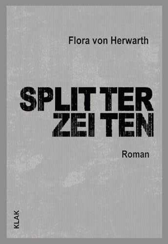 Splitterzeiten: Roman