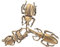 RORPOIR 3stücke Teiliges Messing Vintage Insekten Figur Für Schreibtisch Retro Tischdeko Kleine Brass Statuen Als Für Freunde Und Familie