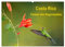 Costa Rica - Farben des Regenwaldes (Wandkalender 2025 DIN A2 quer), CALVENDO Monatskalender: Farbenprächtige Bilder der Flora und Fauna Costa Ricas (CALVENDO Orte)