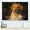 Golden Retriever - Ein Herz auf 4 Pfoten (hochwertiger Premium Wandkalender 2025 DIN A2 quer), Kunstdruck in Hochglanz