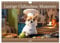 Lustige Chihuahua-Momente (Wandkalender 2025 DIN A4 quer), CALVENDO Monatskalender: Kleine Helden, große Freude. Der Chihuahua-Kalender zum Schmunzeln (CALVENDO Spass)