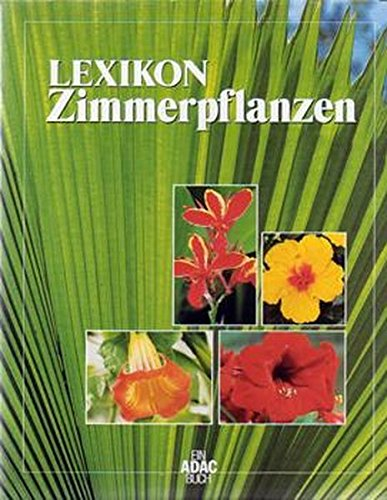 Ratgeber und Lexikon Zimmerpflanzen: Zimmerpflanzen - Lexikon