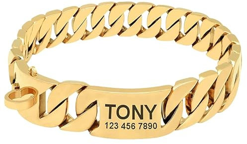 Hundehalsband aus Titanstahl mit sicherer Schnalle, personalisierbar, kaufestes Metallhalsband für Hunde, anpassbares Design für Tierliebhaber