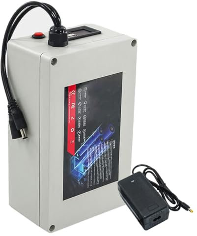 FREEDOH Batteria al Litio Ricaricabile da 12V, 10Ah, 15Ah, 20Ah, 30Ah, 40Ah, 50Ah, 60Ah, 80Ah, 100Ah, Pacco Batteria ad Alta capacità con caricabatteria e Display di Potenza.,12v20ah