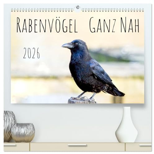 Rabenvögel - ganz nah (hochwertiger Premium Wandkalender 2026 DIN A2 quer), Kunstdruck in Hochglanz: Rabenvögel Europas (CALVENDO Tiere)