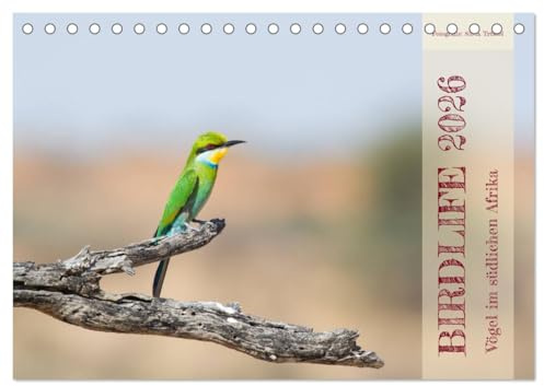 Birdlife - Vögel im südlichen Afrika (Tischkalender 2026 DIN A5 quer), CALVENDO Monatskalender: Tauchen Sie ein in die Vogelwelt des südlichen Afrikas. (CALVENDO Tiere)