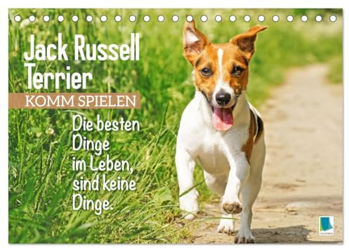 Jack Russell Terrier: Komm spielen (Tischkalender 2026 DIN A5 quer), CALVENDO Monatskalender: Die besten Dinge im Leben, sind keine Dinge: Jack Russell Terrier (CALVENDO Tiere)