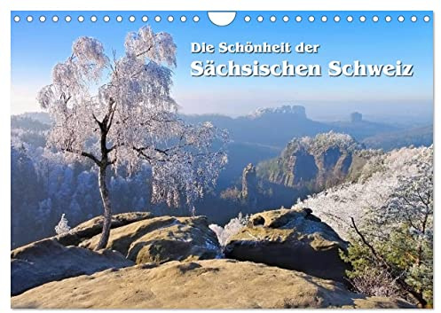 Die Schönheit der Sächsischen Schweiz (Wandkalender 2026 DIN A4 quer), CALVENDO Monatskalender: Wunderschöne Landschaften im Elbsandsteingebirge (CALVENDO Natur)