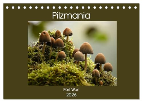 Pilzmania (Tischkalender 2026 DIN A5 quer), CALVENDO Monatskalender: Mit gewöhnlichen und ungewöhnlichen Pilzen durch das Jahr (CALVENDO Natur)