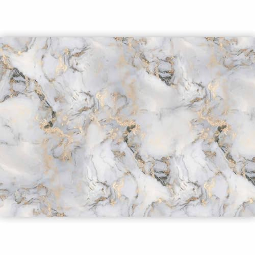 murando - Vlies Fototapete Abstrakt 300x210cm Foto tapete Schlafzimmer Wohnzimmer Vliestapete XXL Wandtapete Motivtapeten 3d Effekt Wand Dekoration - Marmoroptik Steinoptik gold grau a-A-10194-a-a
