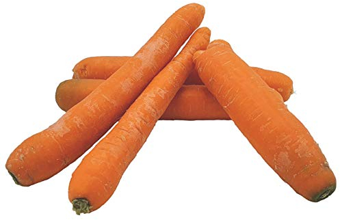 Tier-Futtermöhren 20kg - Ideal für Pferde, Kaninchen UVM