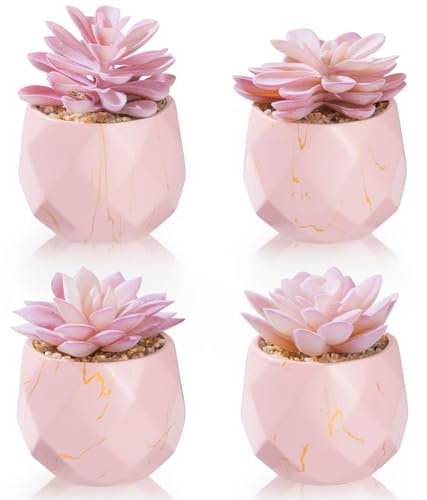ZENIDA Artificial Succulent Plants in 4 Pink Ceramic Pots, Cute Fake Plants for Vanity Decor, Office, Desk, Bathroom, Kitchen, Bedroom, Shelves Decor for Women, Girls Gift
