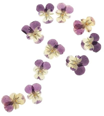 PSNKLMM 10 Dried Pansy Flower Embellishment Resin Pendant Jewelry Craft For Scrapbooking, Candle, Soap Making