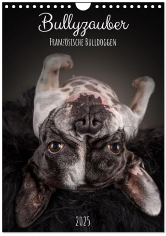 Bullyzauber - Französische Bulldoggen (Wandkalender 2025 DIN A4 hoch), CALVENDO Monatskalender: Französische Bulldoggen optimal in Szene gesetzt. (CALVENDO Tiere)