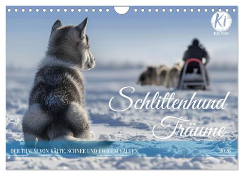 Schlittenhund Träume (Wandkalender 2026 DIN A4 quer), CALVENDO Monatskalender: Eine Hommage an Siberian Husky, Alaskan Malamute, Samojede und Co (CALVENDO Tiere)