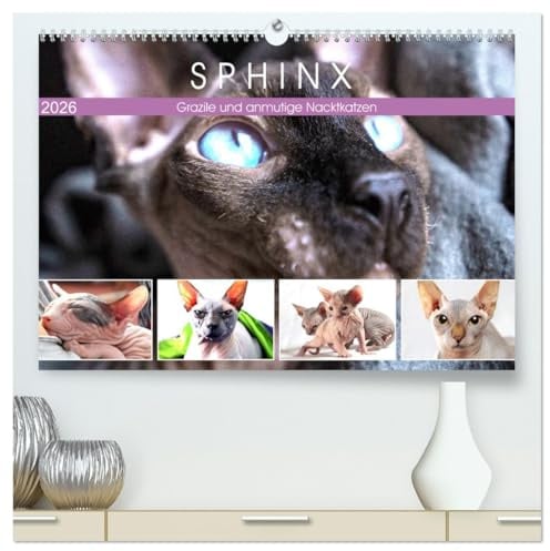 Sphinx. Grazile und anmutige Nacktkatzen (hochwertiger Premium Wandkalender 2026 DIN A2 quer), Kunstdruck in Hochglanz: Die zierliche Sphynx Katze ... Katzenrassen der Welt (CALVENDO Tiere)