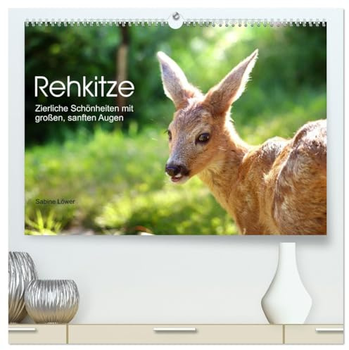 Rehkitze, zierliche Schönheiten mit großen, sanften Augen (hochwertiger Premium Wandkalender 2026 DIN A2 quer), Kunstdruck in Hochglanz: Bezaubernde Nahaufnahmen von Rehkitzen (CALVENDO Tiere)