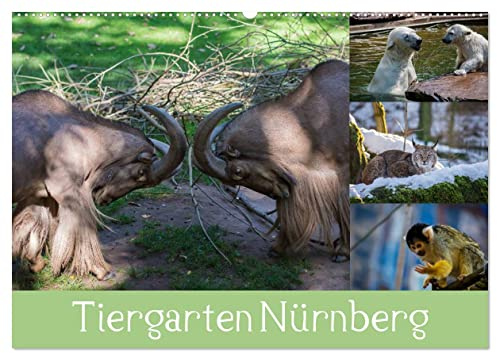 Tiergarten Nürnberg (Wandkalender 2026 DIN A2 quer), CALVENDO Monatskalender: Meine schönsten Tierbilder aus Nürnberg. (CALVENDO Tiere)
