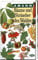 Bäume und Sträucher des Waldes: Taschenbildbuch der Nadeln und Blätter, Blüten, Früchte und Samen, Zweige im Winterzustand und Keimlinge der ... Bau und Leben (Neumann-Neudamm Naturführer)