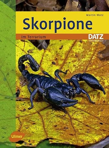 Skorpione: im Terrarium (Datz Terrarienbücher)