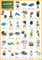 ABC-Anlautposter Schreibschrift A1: Übersichtsplakat mit 34 Anlauten - farbig illustriert (Leseposter)