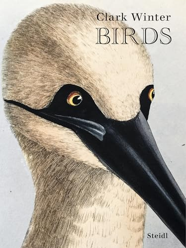 Steidl Verlag