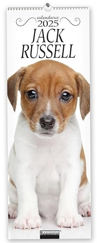 Jack Russel. Calendario 2025. Long