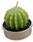 Amosfun Pianta Artificiale Candele Decorative Candele Cautus Pianta Di Simulazione Da Giardino Luce Da Tè Da Tavolo Green
