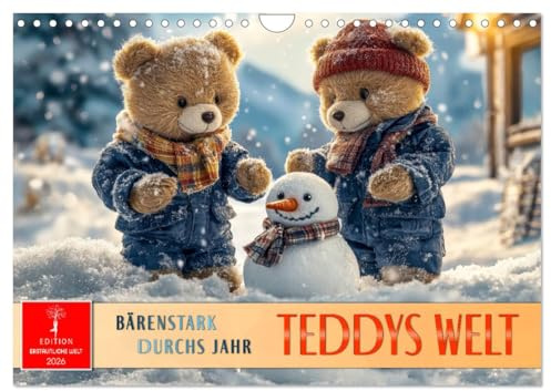 Teddys Welt - Bärenstark durchs Jahr (Wandkalender 2026 DIN A4 quer), CALVENDO Monatskalender: Ein Bilderjahr zum Schmunzeln,Träumen und Verzaubern. (CALVENDO Spass)