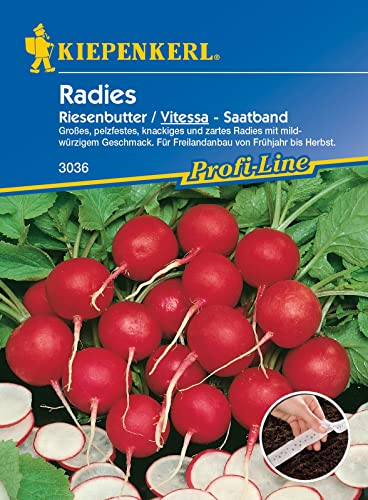 Kiepenkerl 3036 Radieschen Saatband Vitessa | Mild Würzig | Radieschen Samen Saatband Radieschen | Radischensaamen Saatband