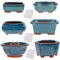 Happy Bonsai Lot de 6 mini pots vitrés + 6 grilles de drainage en maille souple