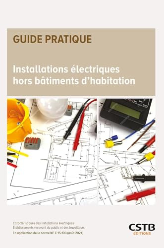 Installations électriques des bâtiments à usage professionnel et recevant du public: En application de la norme NF C15-100