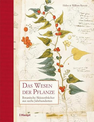 Das Wesen der Pflanze: Botanische Skizzenbücher aus sechs Jahrhunderten