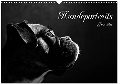Hundeportraits Fine Art (Wandkalender 2026 DIN A3 quer), CALVENDO Monatskalender: Hundeportraits in schwarz/weiß (CALVENDO Tiere)