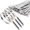 100 Pièces Attaches de câble Robustes, Collier de serrage inox en Acier Inoxydable Serre-câbles Autobloquante 4,6x300mm