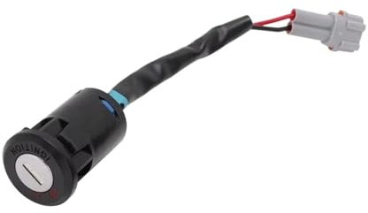 PLKPVHVZNM Zündkerzenstecker Für Sur-Ron Für Sur Für Ron Für Surron Für Licht Für Bee Motorrad Zündschloss Schloss Schlüsselsatz Zündspule mit Zündkerze