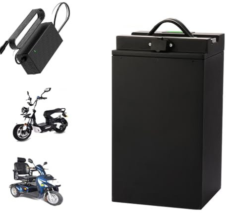 HJGHY Batteria Ricaricabile agli ioni di Litio per Moto elettrica, Bici elettrica, ciclomotore, Carrello da Golf, Triciclo, 48 V 30 Ah, 40 Ah, 60 V 30 Ah,48v 30ah