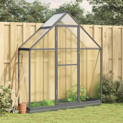 Mokuyary Serra con telaio di base antracite, 169 x 58 x 202 cm, in alluminio, serra da esterno per piante vegetali