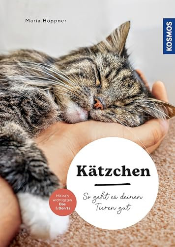 Kätzchen: So geht es deinen Tieren gut – auswählen – halten - beschäftigen – mit den wichtigsten Dos & Don’ts (Mein Tier)