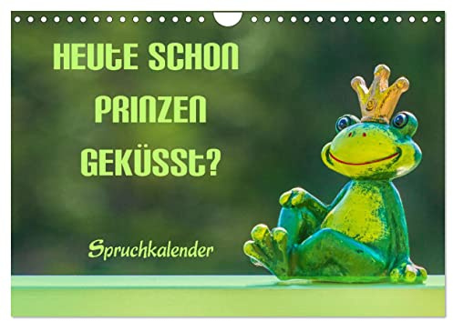 Heute schon Prinzen geküsst? Spruchkalender (Wandkalender 2026 DIN A4 quer), CALVENDO Monatskalender: Spruchkalender mit Humor (CALVENDO Spass)