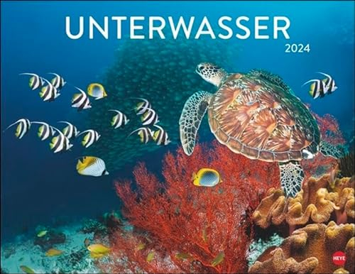 Unterwasser Posterkalender 2024. Spektakulärer Foto-Kalender im Posterformat. Die faszinierende Unterwasserwelt in Bildern für einen dekorativen großen Kalender.