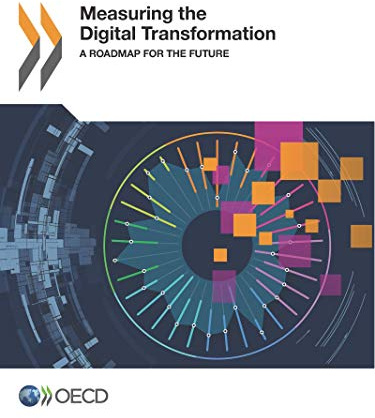 Measuring the Digital Transformation: A Roadmap for the Future