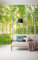 Komar Vlies Fototapete SUNDAY | 300 x 250 cm | Tapete, Wand Dekoration, Birkenwald, Wald, Natur, Landschaft, Schlafzimmer, Wohnzimmer | 519-DV3
